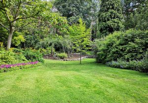Optimiser l'expérience du jardin à Saint-Samson-de-Bonfosse